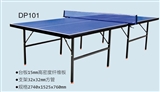 DP101