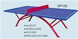DP102
